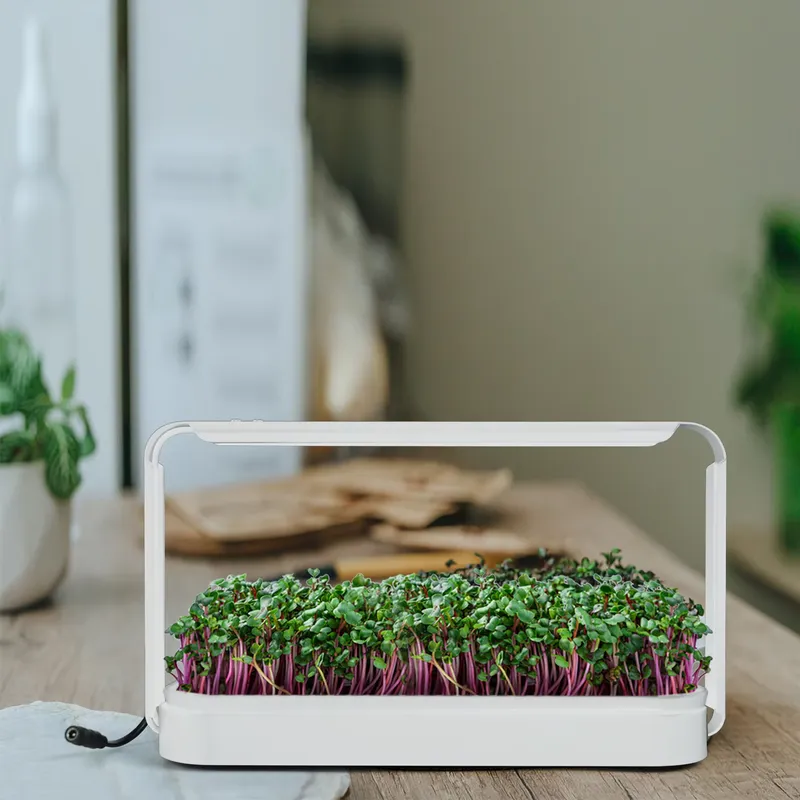 Smart Garden Ideas - Набор для выращивания трав в помещении