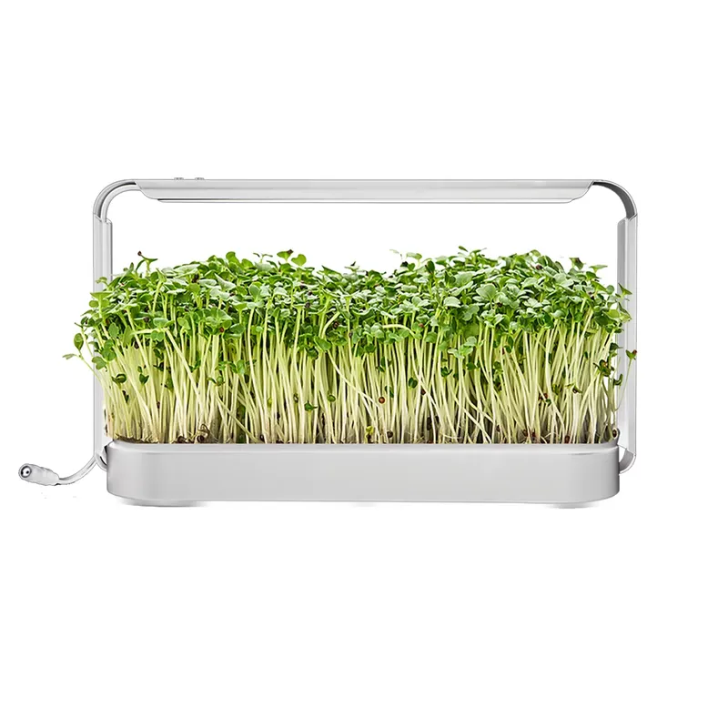 Набор для выращивания трав в п – обзор и цена Smart Garden Ideas