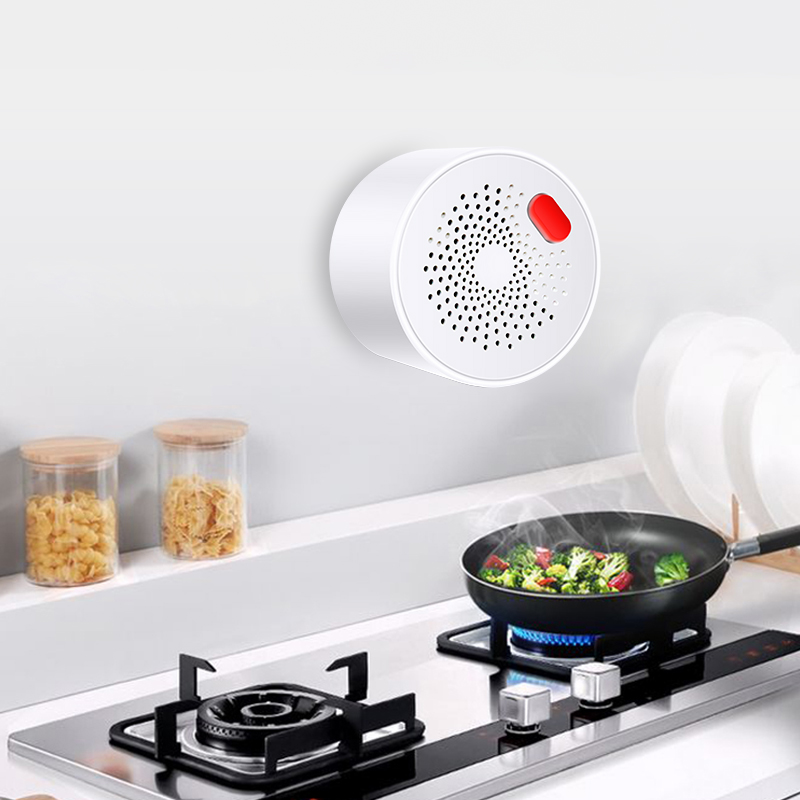 Датчик природного газа Tuya Sm – обзор и цена Smart Garden Home