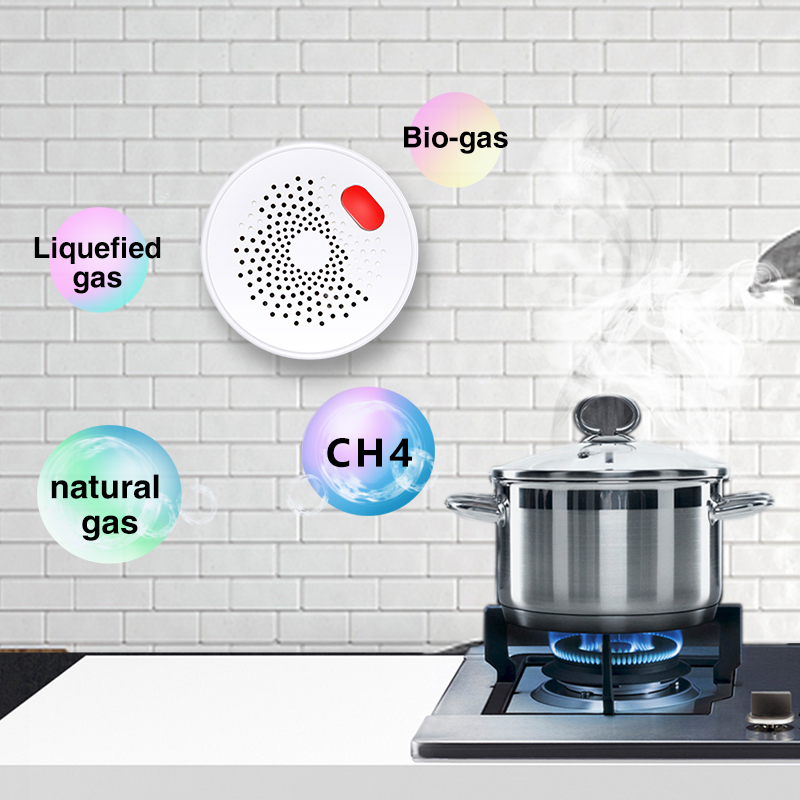 Датчик природного газа Tuya Sm – обзор и цена Smart Garden Home
